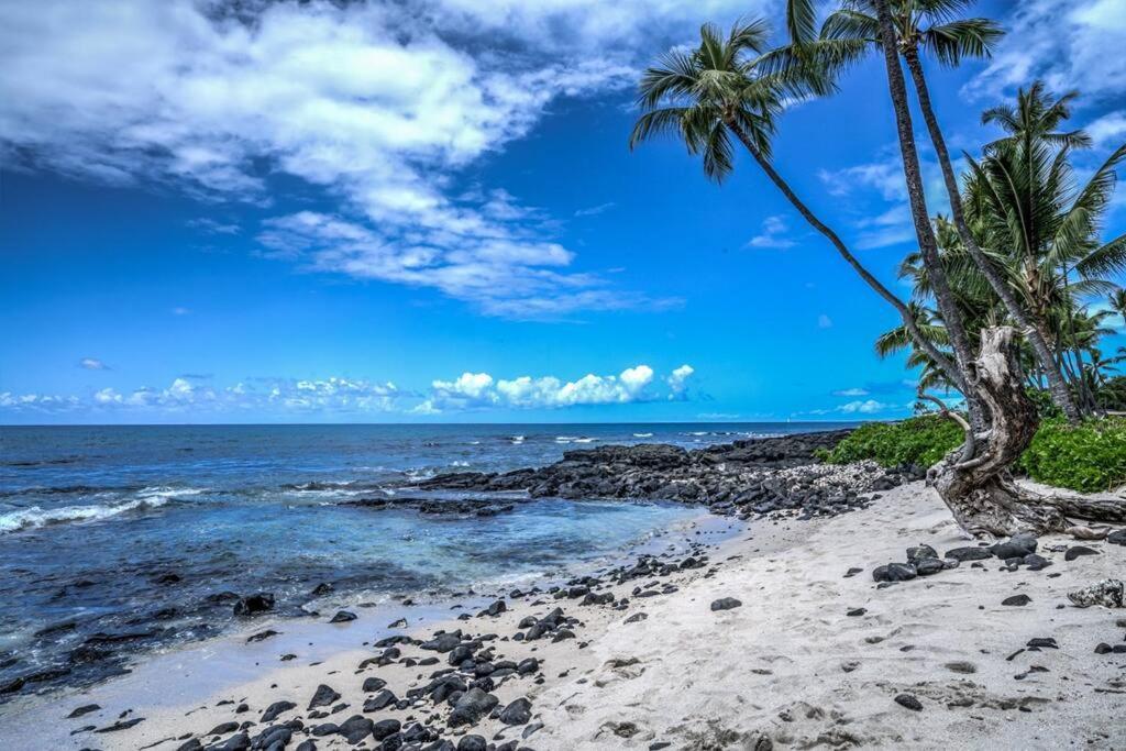 Newly Upgraded 1Br Unit Near Beach Max Of 5 Guests Kailua-Kona Eksteriør billede
