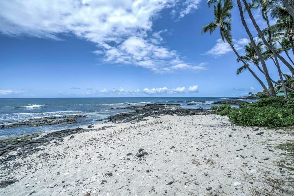 Newly Upgraded 1Br Unit Near Beach Max Of 5 Guests Kailua-Kona Eksteriør billede