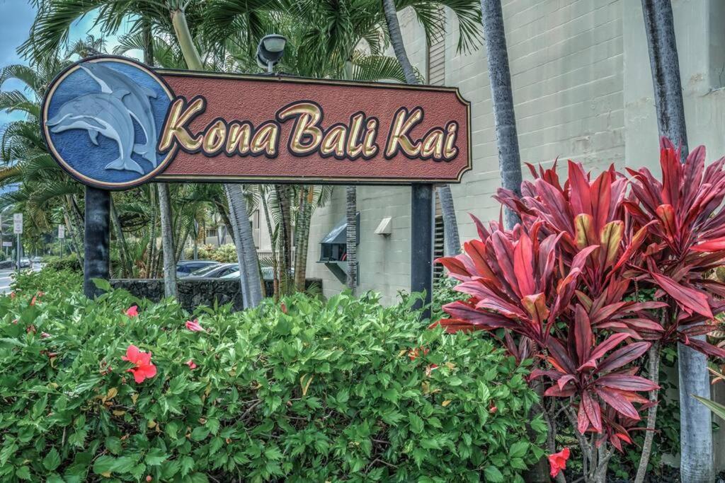 Newly Upgraded 1Br Unit Near Beach Max Of 5 Guests Kailua-Kona Eksteriør billede