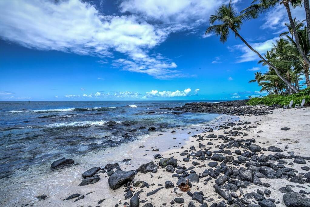Newly Upgraded 1Br Unit Near Beach Max Of 5 Guests Kailua-Kona Eksteriør billede