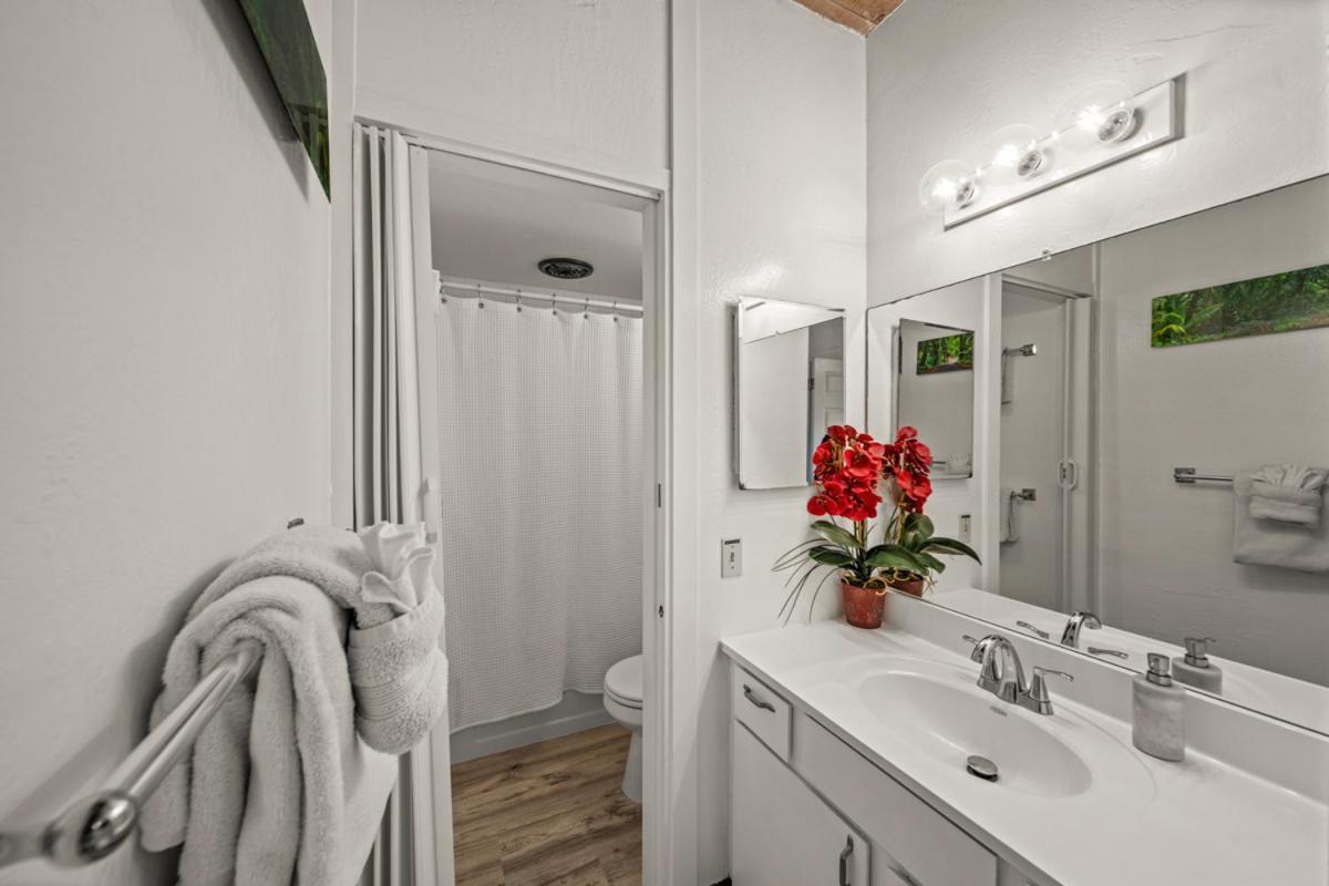 Newly Upgraded 1Br Unit Near Beach Max Of 5 Guests Kailua-Kona Eksteriør billede